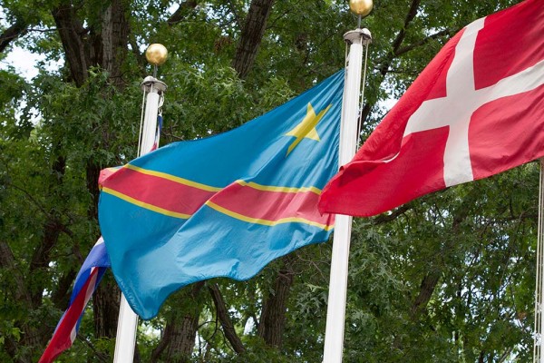 Flag of the DRC