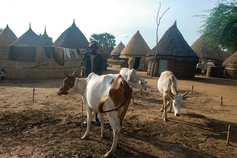 Nuer pastoralist settlement