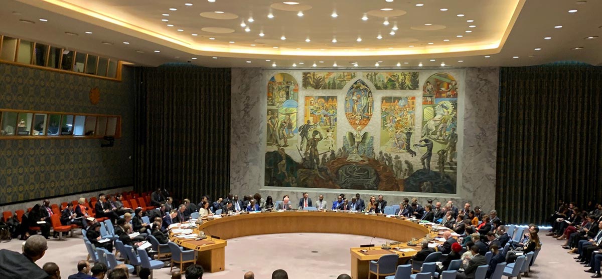 ACCORD Executive Director addresses UNSC