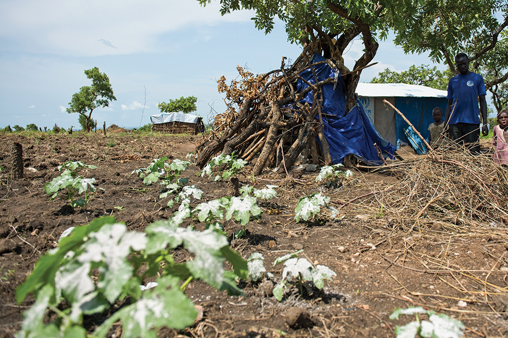 South Sundan Refugees