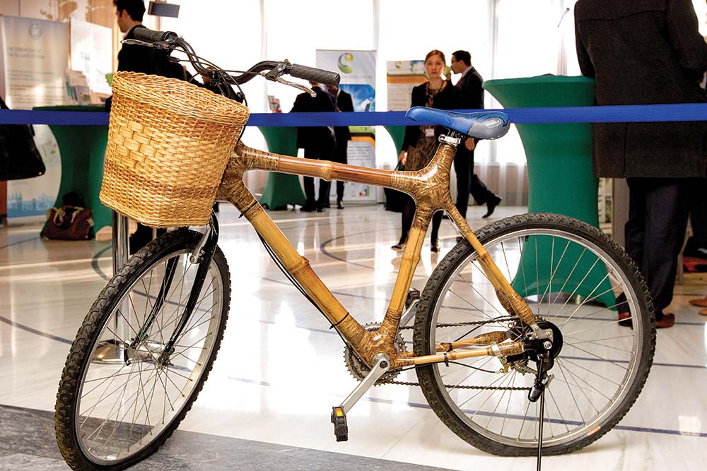 Bamboo bicycle