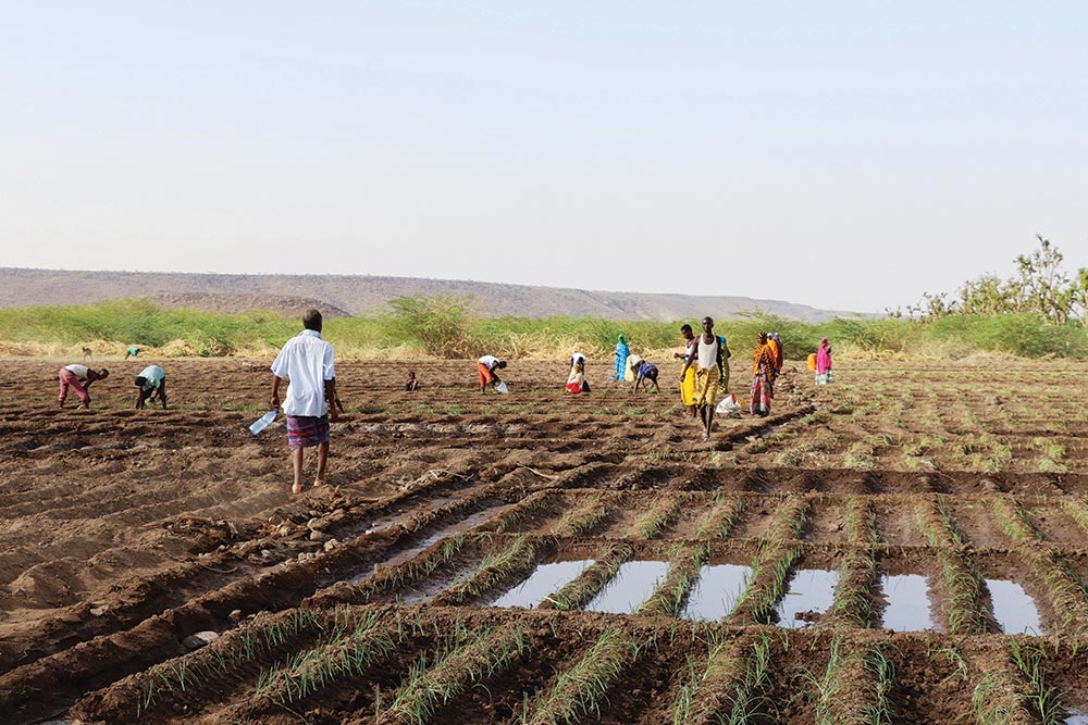 indigenous-community-based-natural-resources-management-mechanisms-accord