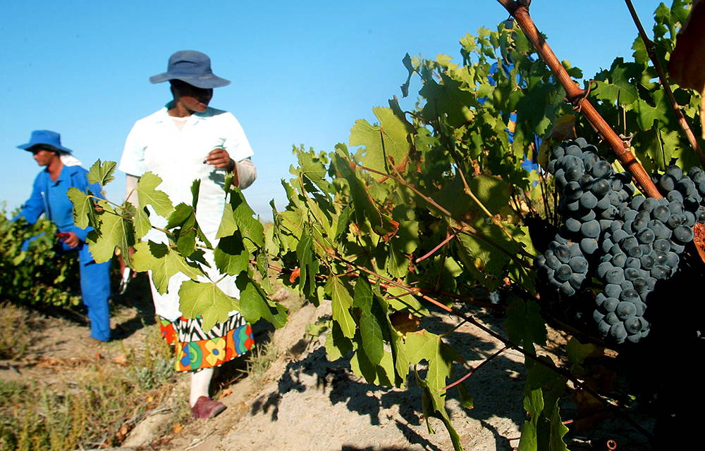 Farm workers