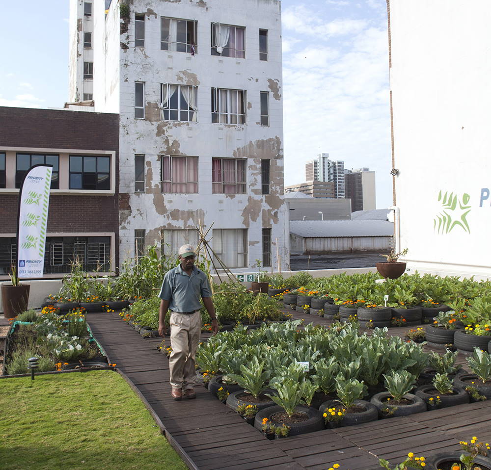 rooftop garden