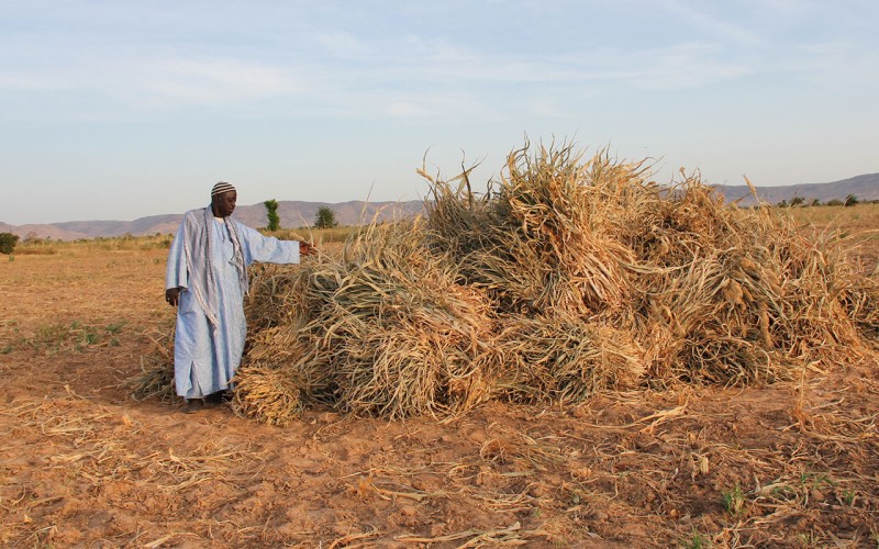 Photo by WFP/Rein Skullerud